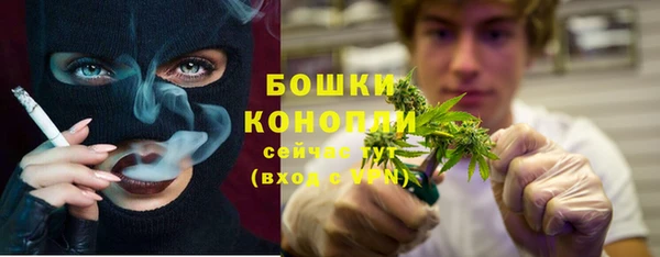 гидра Надым