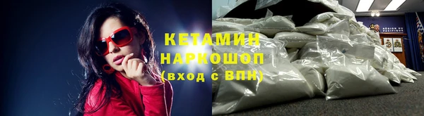 гидра Надым
