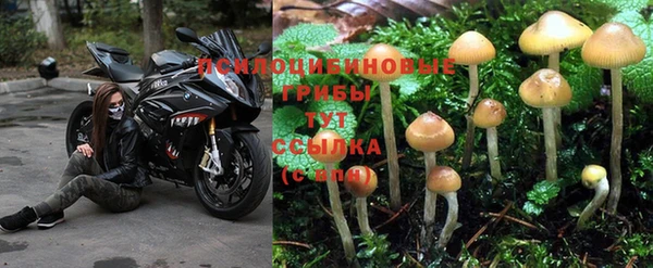 наркотики Нефтегорск