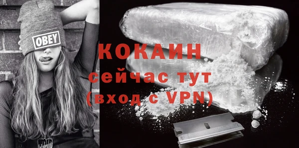 ПСИЛОЦИБИНОВЫЕ ГРИБЫ Нея