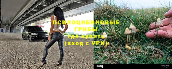 ПСИЛОЦИБИНОВЫЕ ГРИБЫ Нея