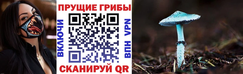 Галлюциногенные грибы GOLDEN TEACHER купить закладку Братск