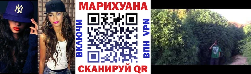 где купить наркотик Братск Бошки Шишки SATIVA & INDICA